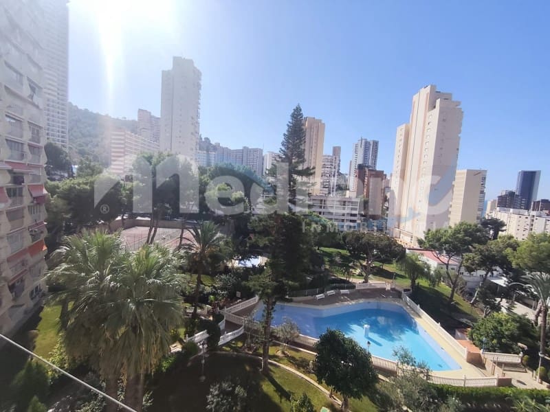 1 bedroom Apartment for sale in Benidorm with pool garage - € 155,000 (Ref: 10146721)