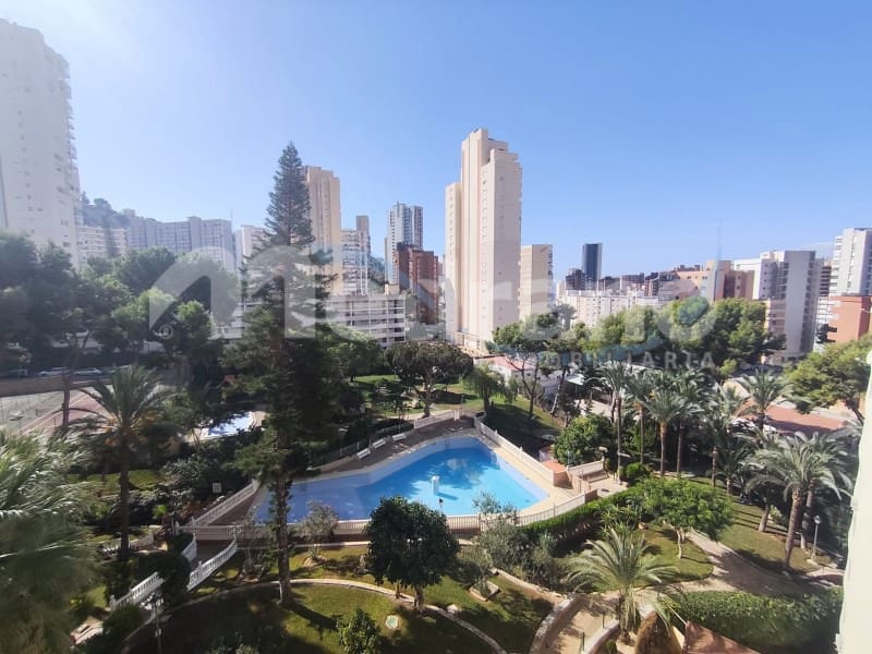 1 bedroom Apartment for sale in Benidorm with pool garage - € 155,000 (Ref: 10146721)