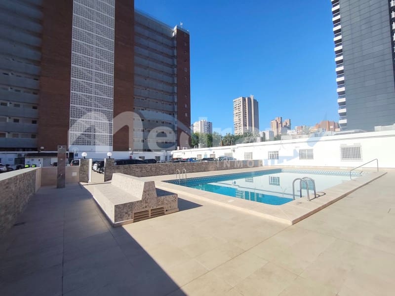 Studio til salg i Benidorm med swimmingpool garage - € 235.000 (Ref: 10164833)