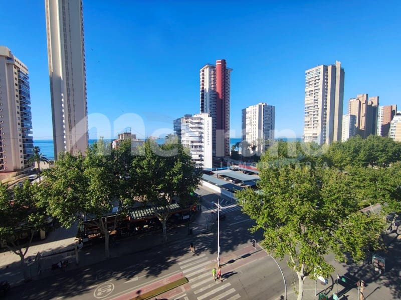 Studio til salg i Benidorm med swimmingpool garage - € 235.000 (Ref: 10164833)