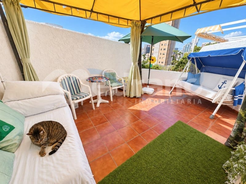 Apartamento de 1 habitación en Benidorm en venta con piscina - 244.000 € (Ref: 10173816)