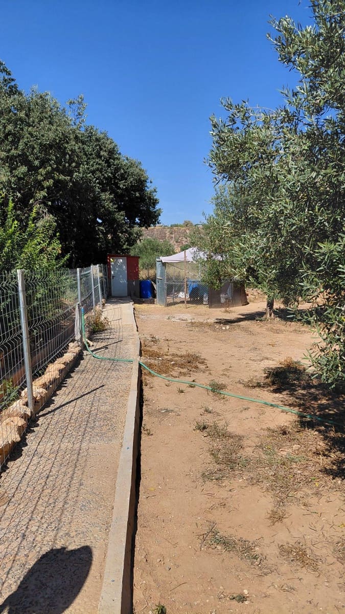 1 bedroom Villa for sale in Cheste - € 37,000 (Ref: 9735890)