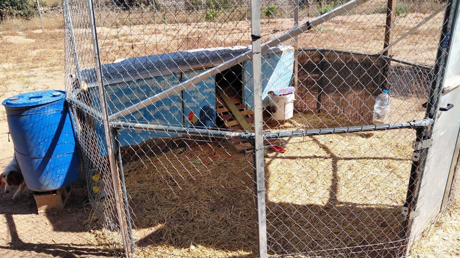 1 bedroom Villa for sale in Cheste - € 37,000 (Ref: 9735890)