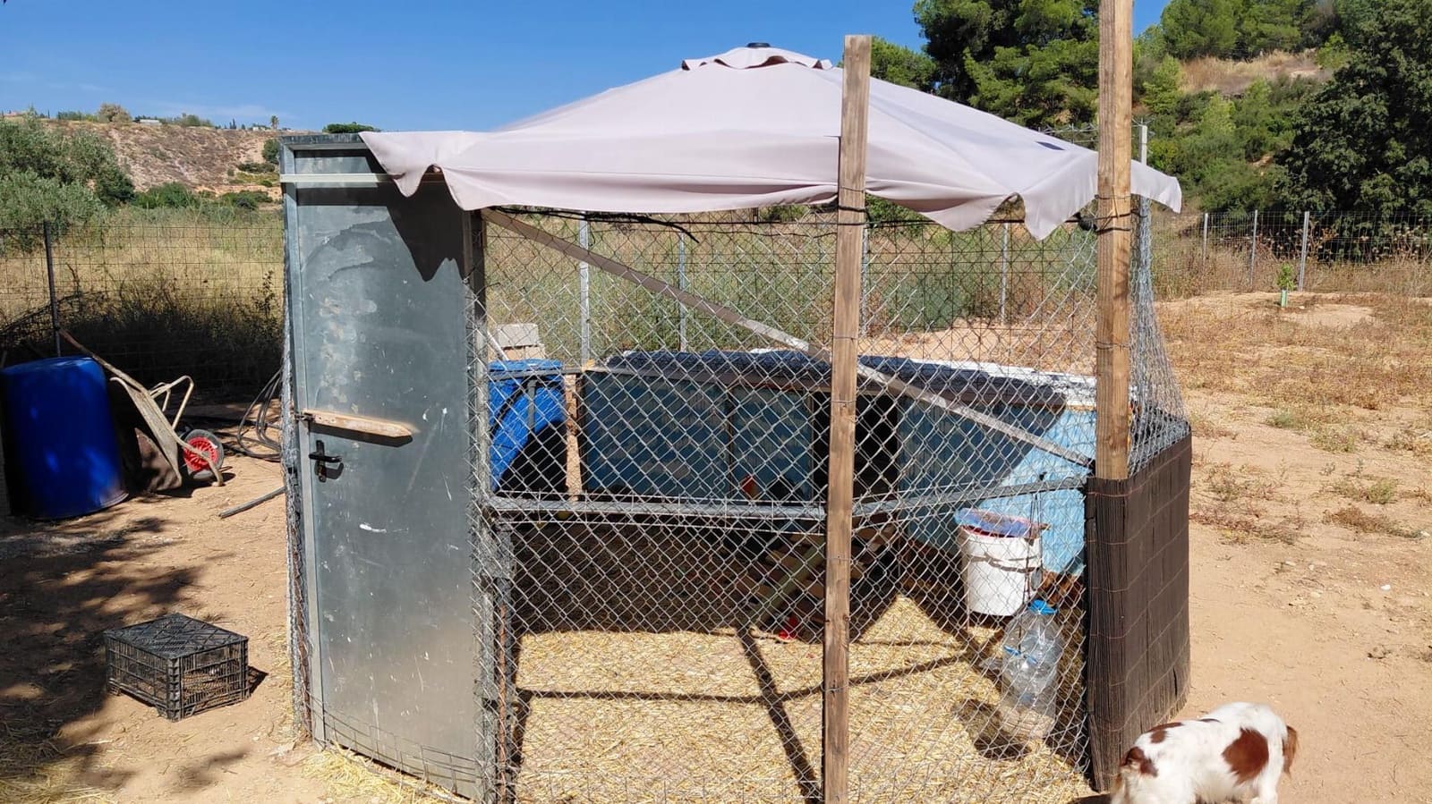 1 bedroom Villa for sale in Cheste - € 37,000 (Ref: 9735890)