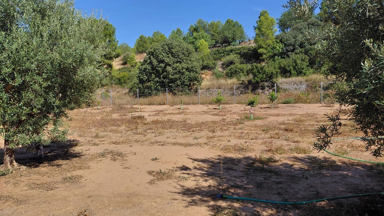 1 bedroom Villa for sale in Cheste - € 37,000 (Ref: 9735890)