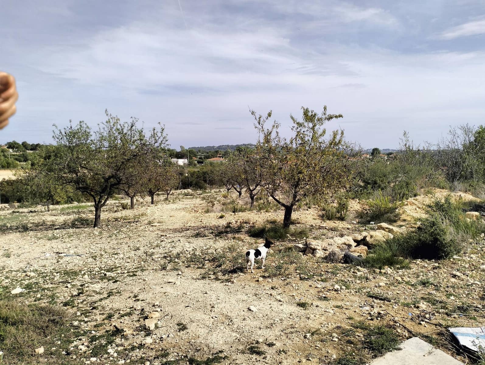 4 Zimmer Villa zu verkaufen in Cheste mit Garage - 450.000 € (Ref: 9735912)