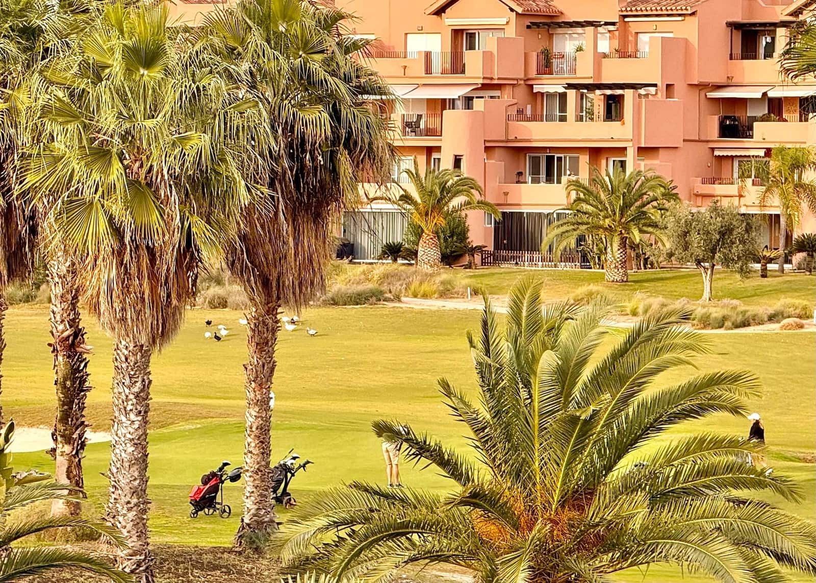 2 sovrum Lägenhet till salu i Torre-Pacheco med pool - 215 000 € (Ref: 9444495)