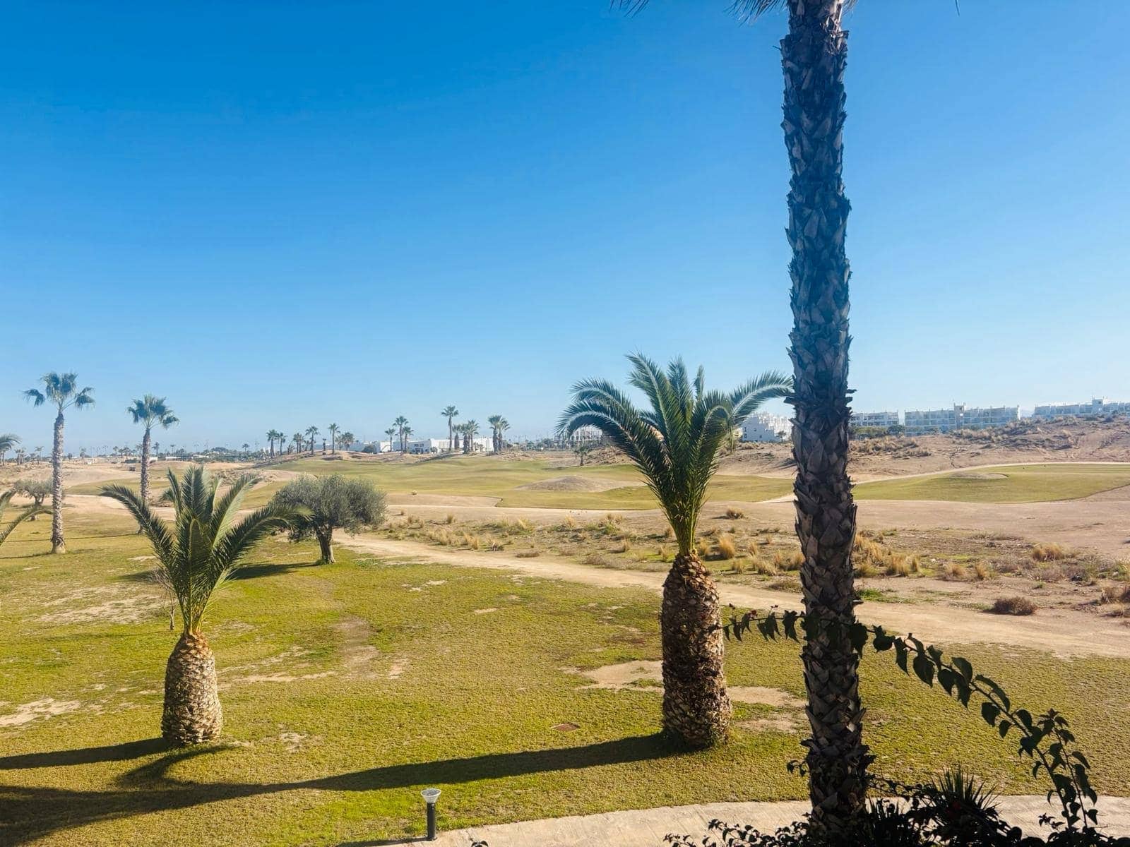 2 bedroom Apartment for sale in Terrazas de la Torre with pool - € 129,999 (Ref: 9501817)