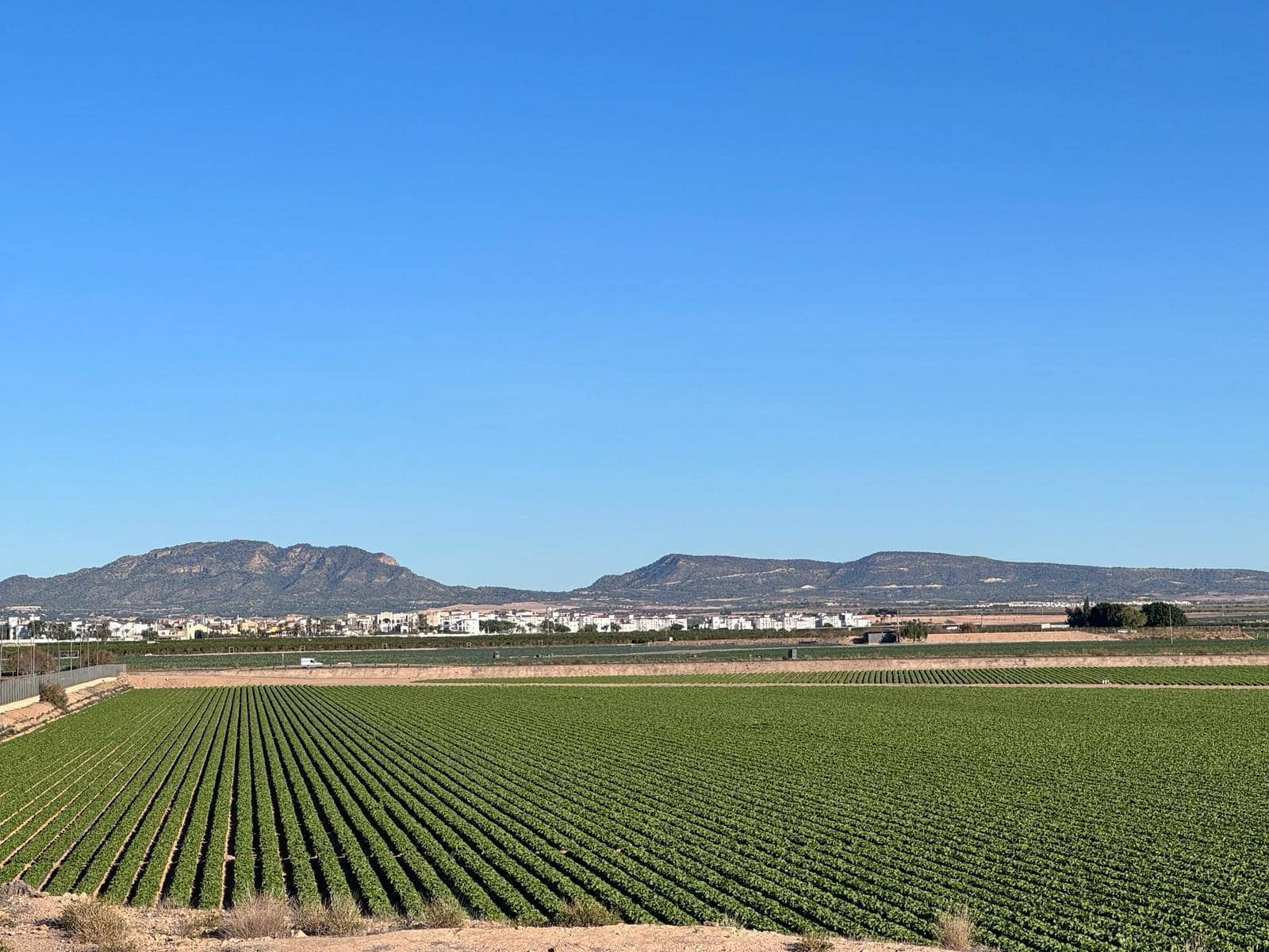 3 sovrum Villa till salu i Roldan med pool - 354 999 € (Ref: 9528499)