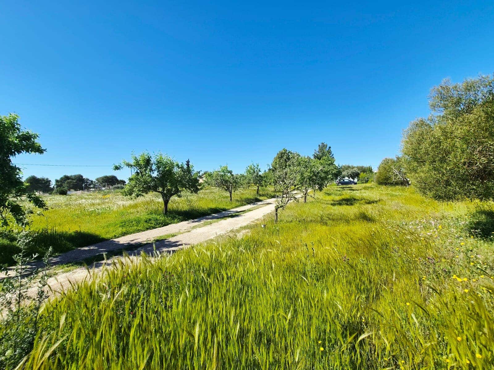 4 bedroom Villa for sale in Valle del Sol with pool garage - € 285,000 (Ref: 9735139)