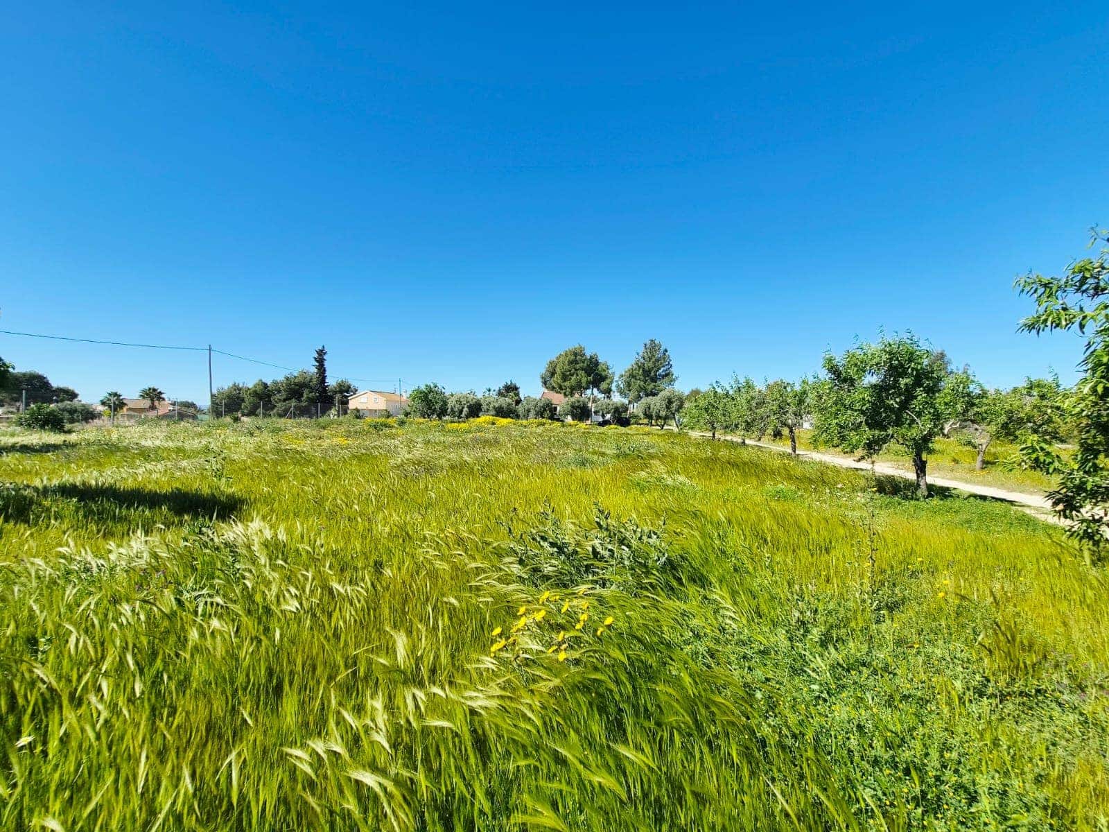 4 bedroom Villa for sale in Valle del Sol with pool garage - € 285,000 (Ref: 9735139)