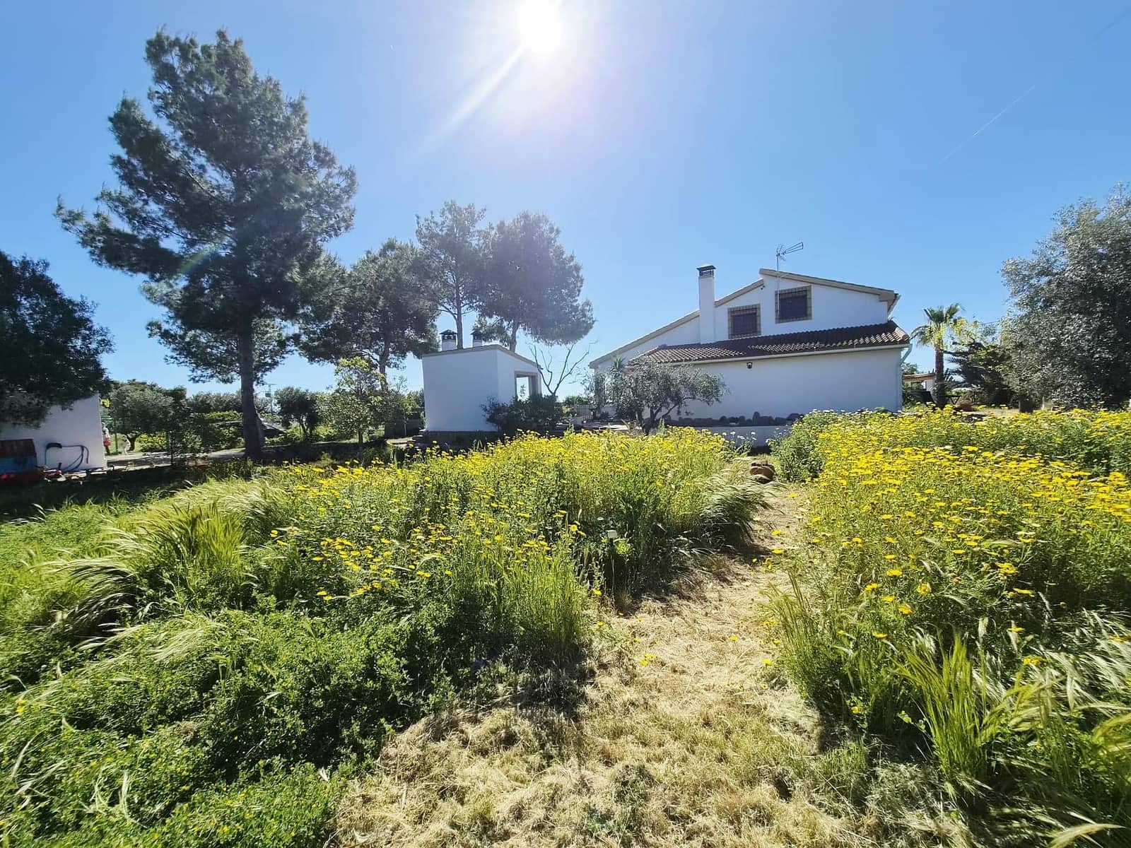 4 bedroom Villa for sale in Valle del Sol with pool garage - € 285,000 (Ref: 9735139)