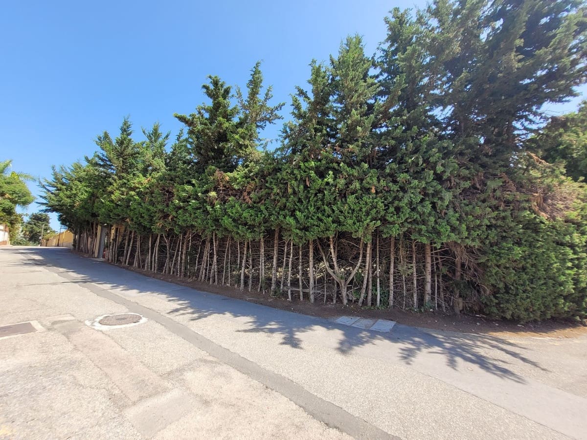 4 sovrum Villa till salu i Rio Real med garage - 920 000 € (Ref: 10073157)