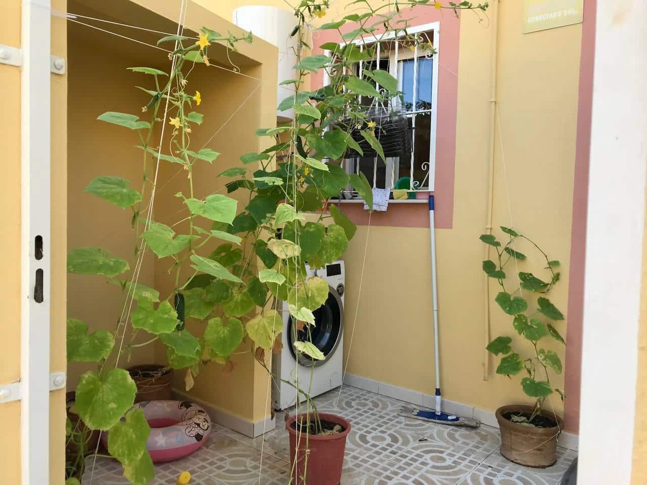 2 bedroom Terraced Villa for sale in Filipinas - € 160,000 (Ref: 9619174)