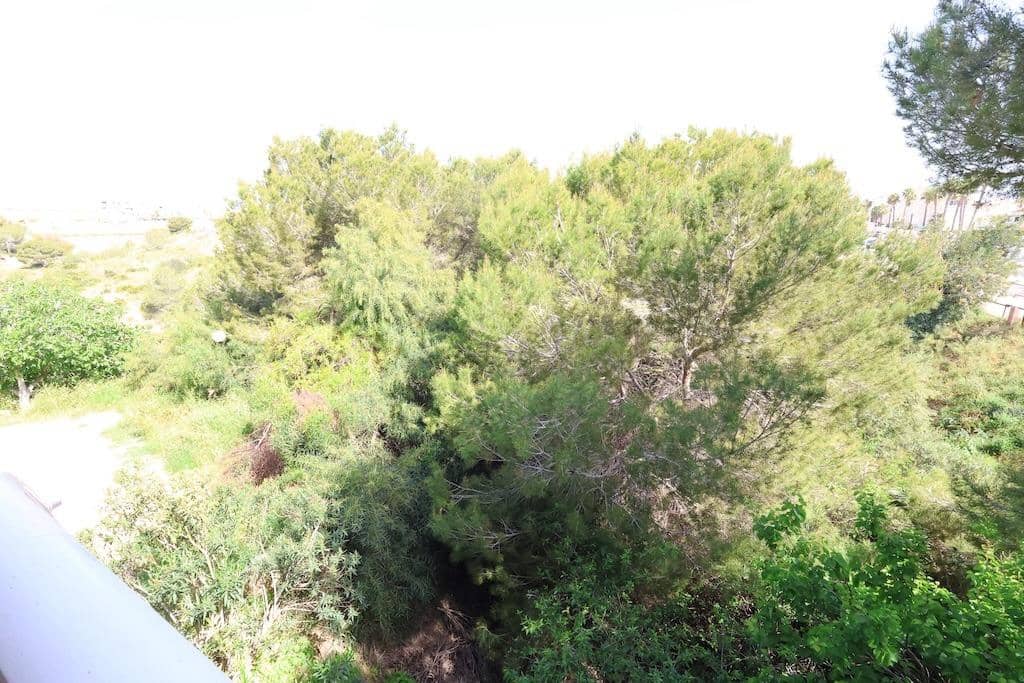 2 soveværelse Lejlighed til salg i Playa Flamenca - € 169.000 (Ref: 9813306)