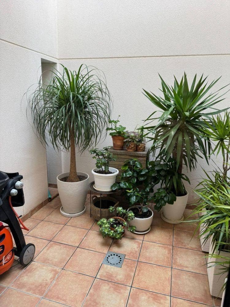 3 soveværelse Rækkehus til salg i Orihuela Costa med garage - € 355.000 (Ref: 9860060)