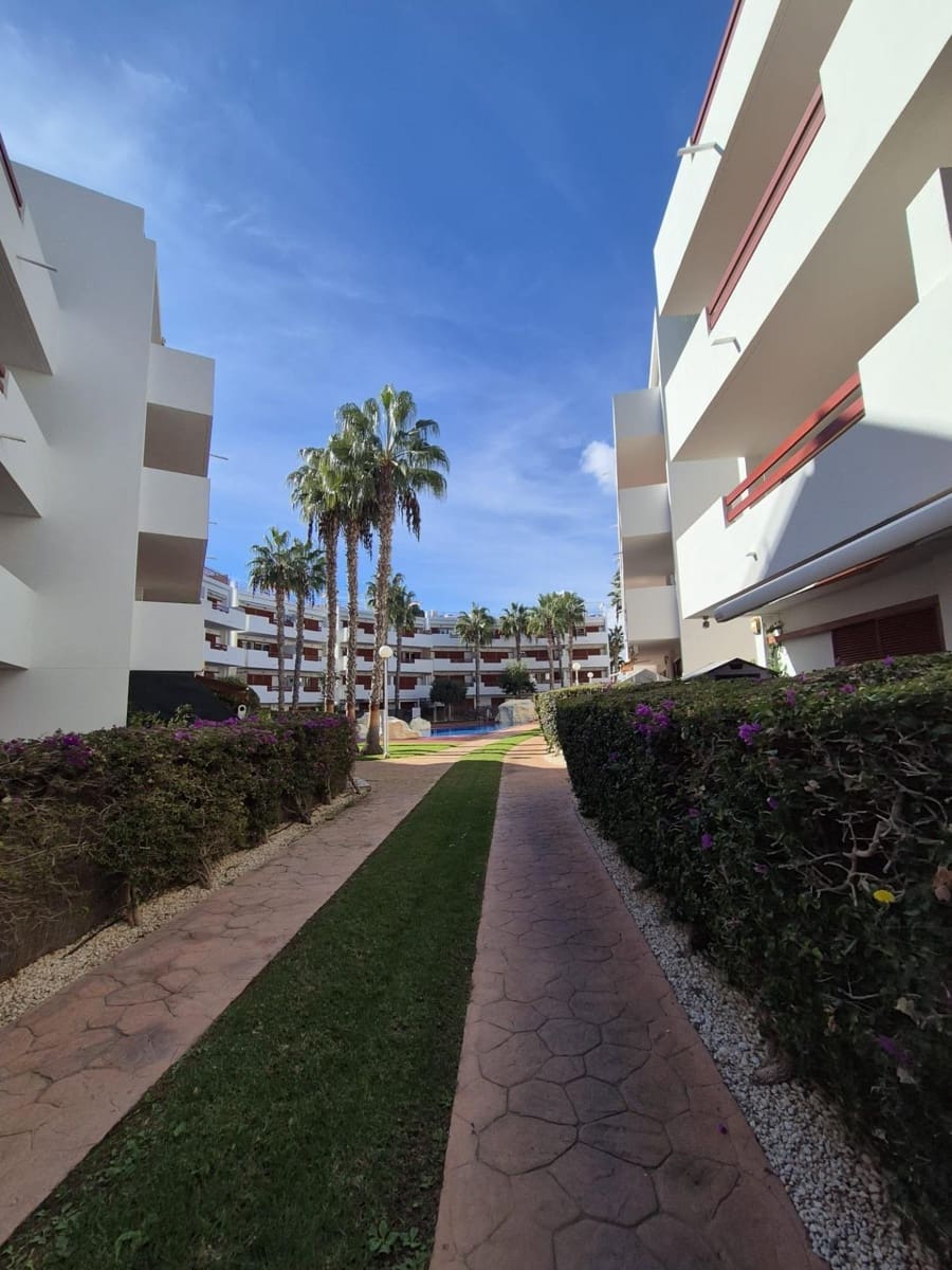 2 Zimmer Penthouse zu verkaufen in Playa Flamenca - 229.950 € (Ref: 9907535)