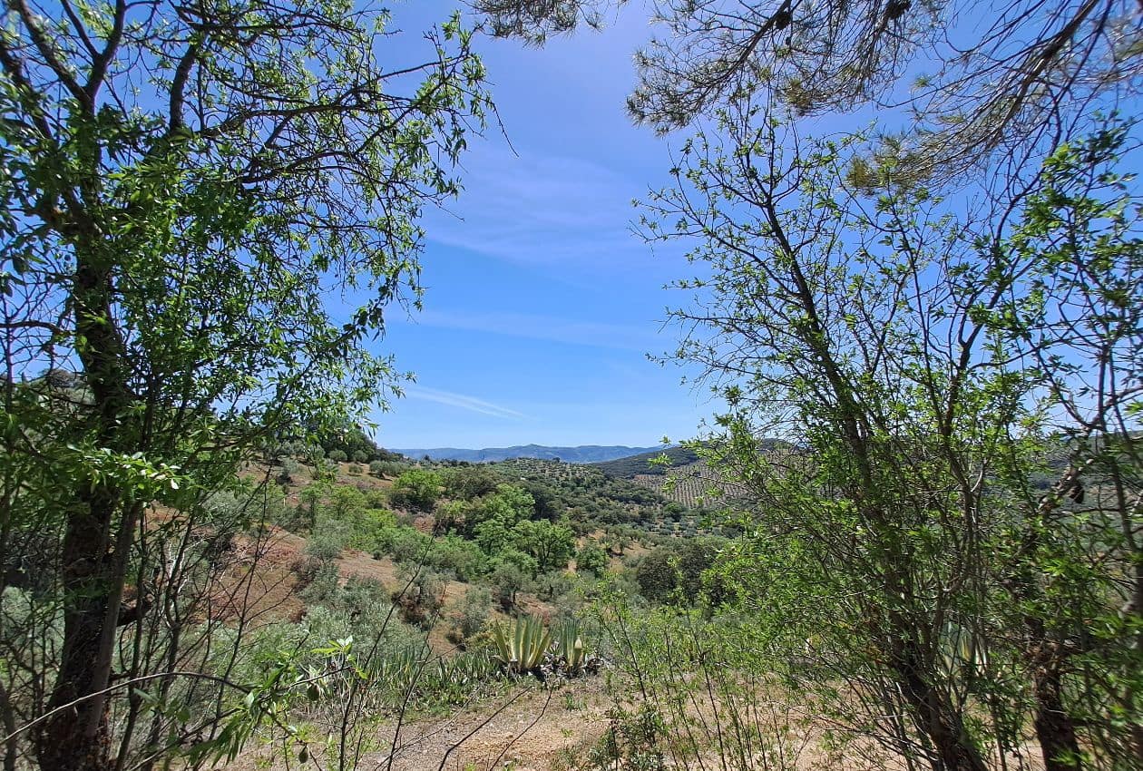 4 soverom Villa til salgs i Castillo de Locubin - € 220 000 (Ref: 7524150)