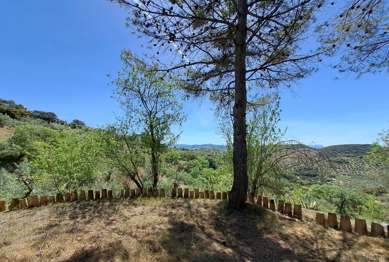 4 soverom Villa til salgs i Castillo de Locubin - € 220 000 (Ref: 7524150)