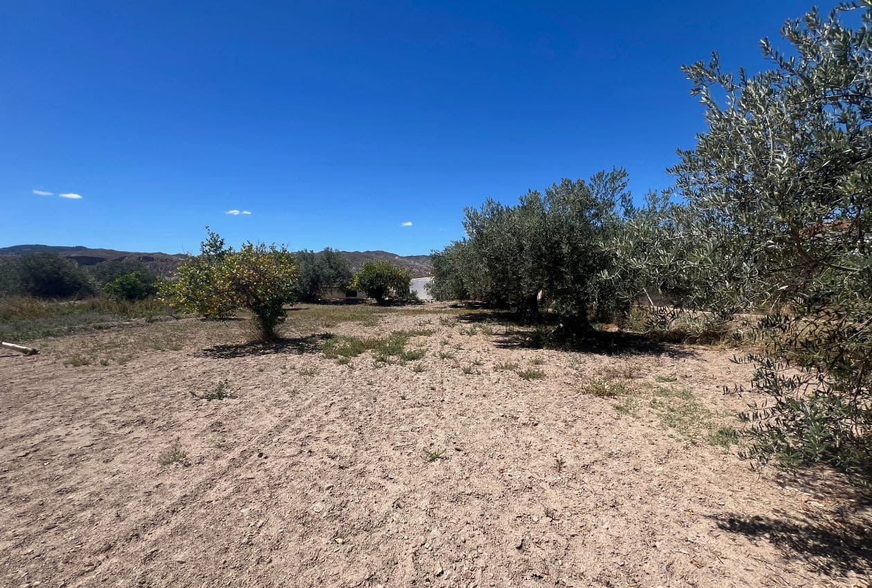 7 soveværelse Finca/Landehus til salg i Arboleas - € 199.950 (Ref: 8390086)