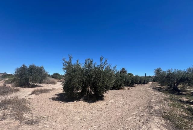 7 soverom Finca/Herregård til salgs i Arboleas - € 199 950 (Ref: 8390086)