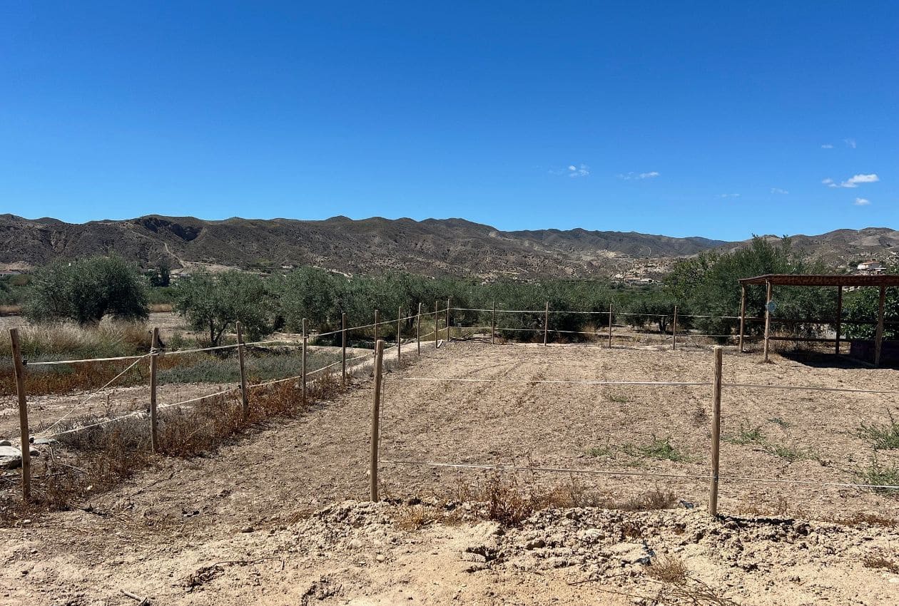 7 soveværelse Finca/Landehus til salg i Arboleas - € 199.950 (Ref: 8390086)