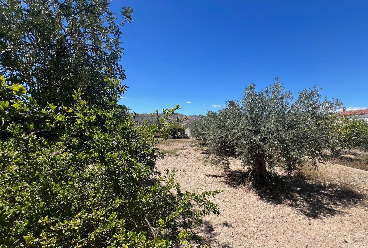 7 soveværelse Finca/Landehus til salg i Arboleas - € 199.950 (Ref: 8390086)