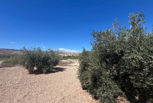 7 soverom Finca/Herregård til salgs i Arboleas - € 199 950 (Ref: 8390086)