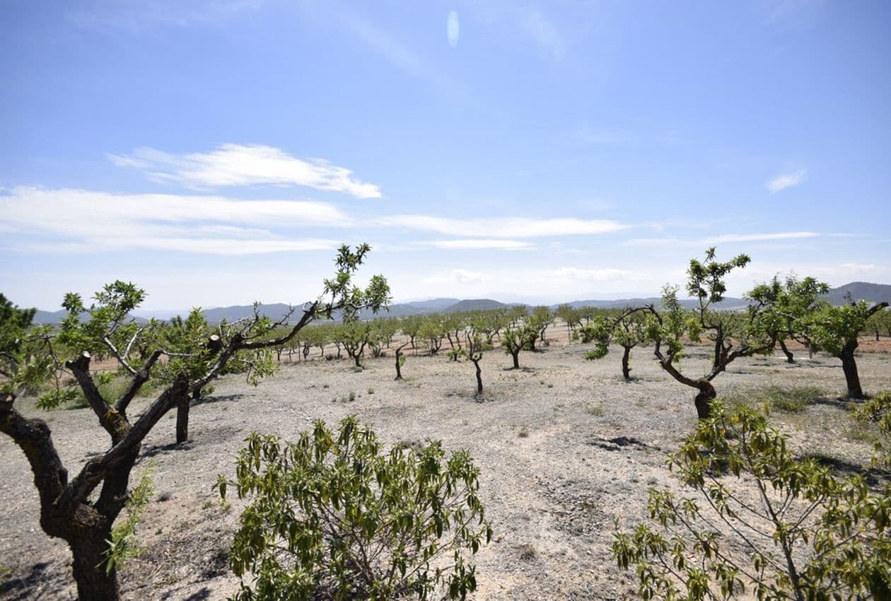 4 bedroom Villa for sale in Oria with pool - € 324,950 (Ref: 8600806)