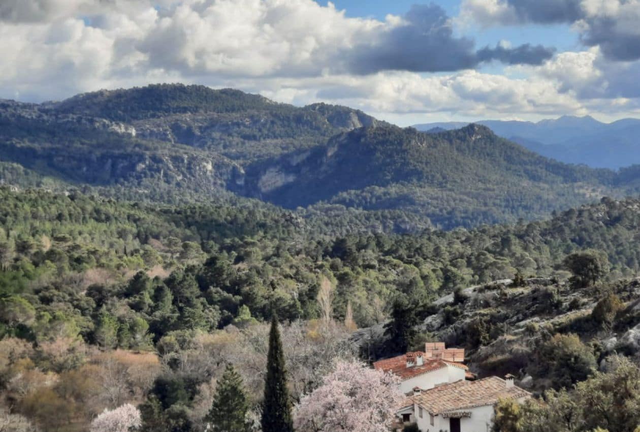 6 soveværelse Finca/Landehus til salg i Segura de la Sierra med swimmingpool - € 555.000 (Ref: 8769805)