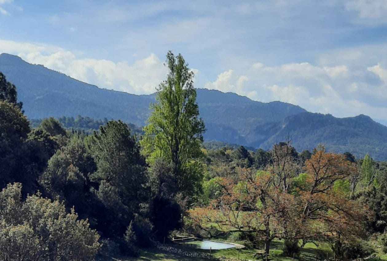 6 soveværelse Finca/Landehus til salg i Segura de la Sierra med swimmingpool - € 555.000 (Ref: 8769805)