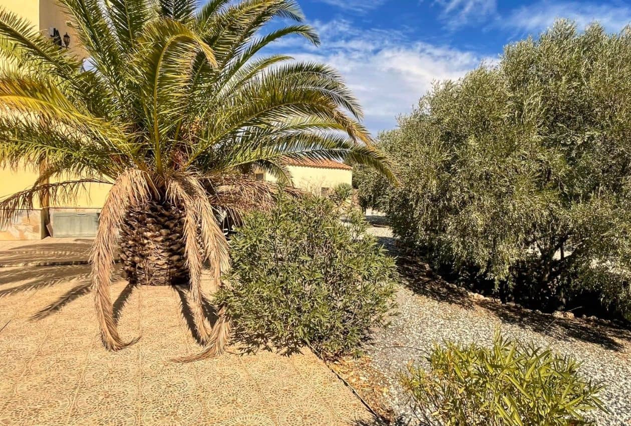 3 soverom Villa til salgs i Albox med svømmebasseng - € 234 000 (Ref: 8886886)