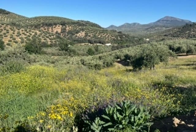 4 soveværelse Finca/Landehus til salg i Castillo de Locubín - € 375.000 (Ref: 8906236)