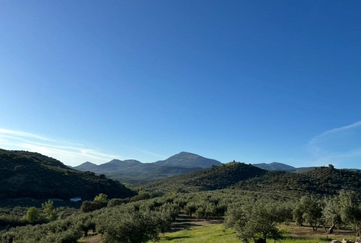 4 soveværelse Finca/Landehus til salg i Castillo de Locubin - € 375.000 (Ref: 8906236)