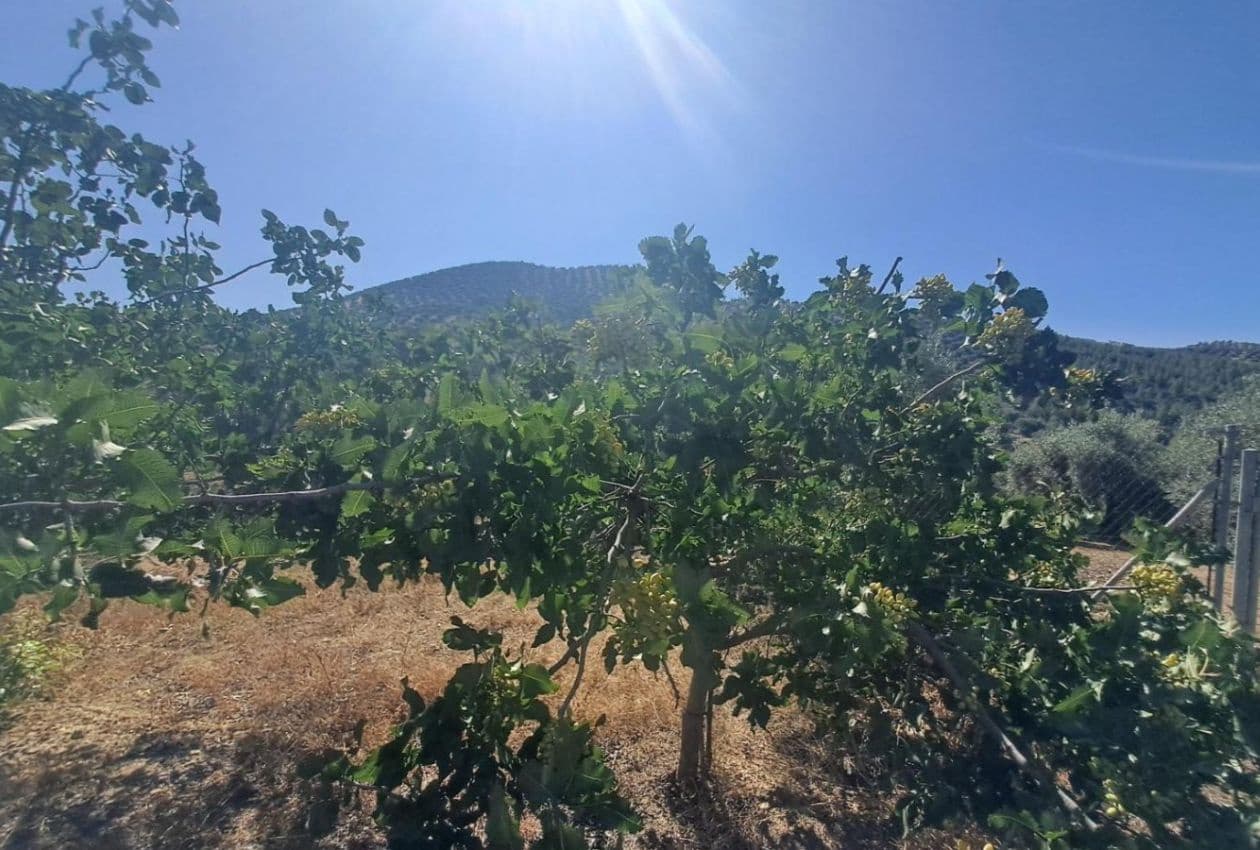 4 soveværelse Finca/Landehus til salg i Iznajar med swimmingpool - € 449.995 (Ref: 9101671)