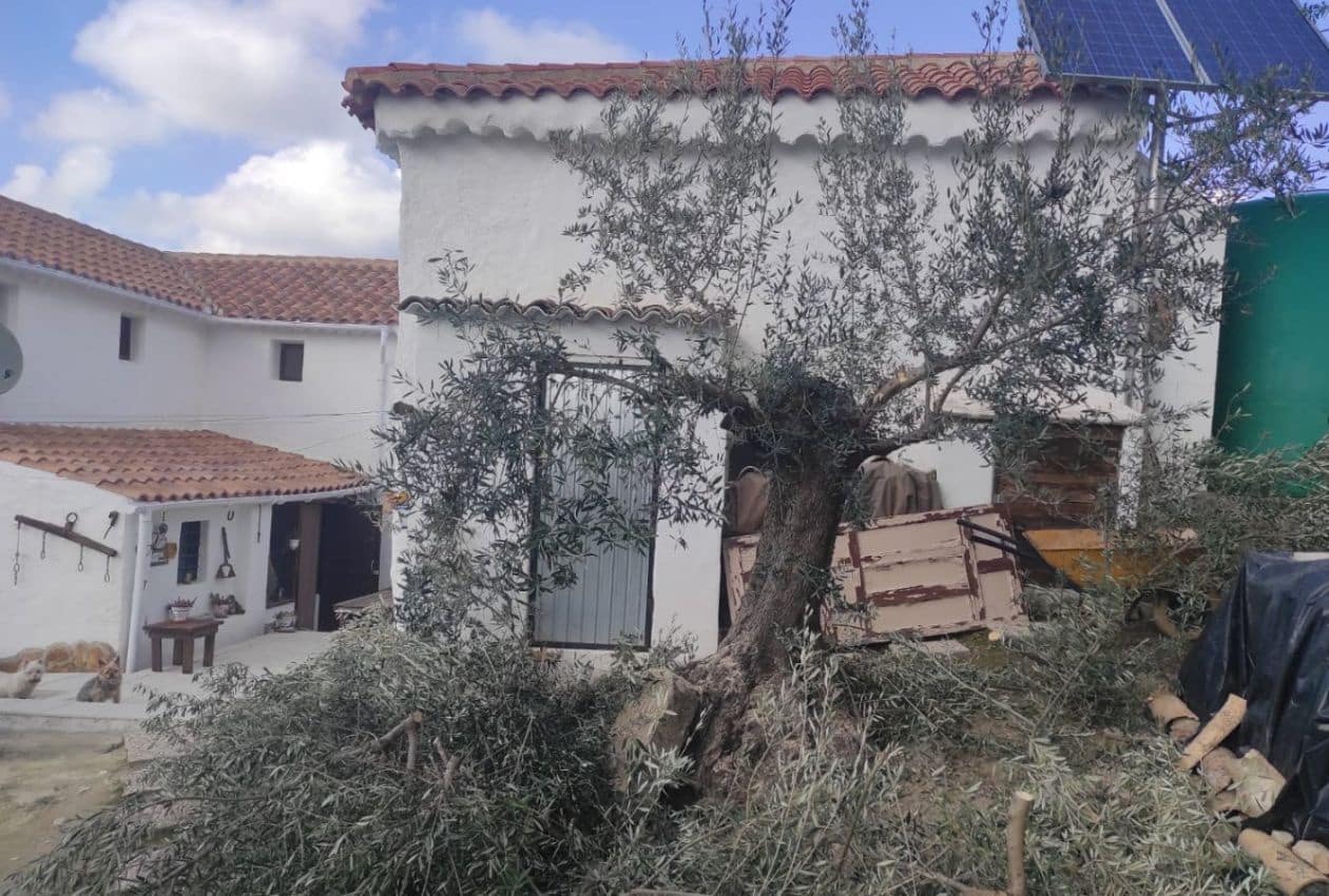 3 soveværelse Finca/Landehus til salg i Alcala la Real - € 129.000 (Ref: 9184786)