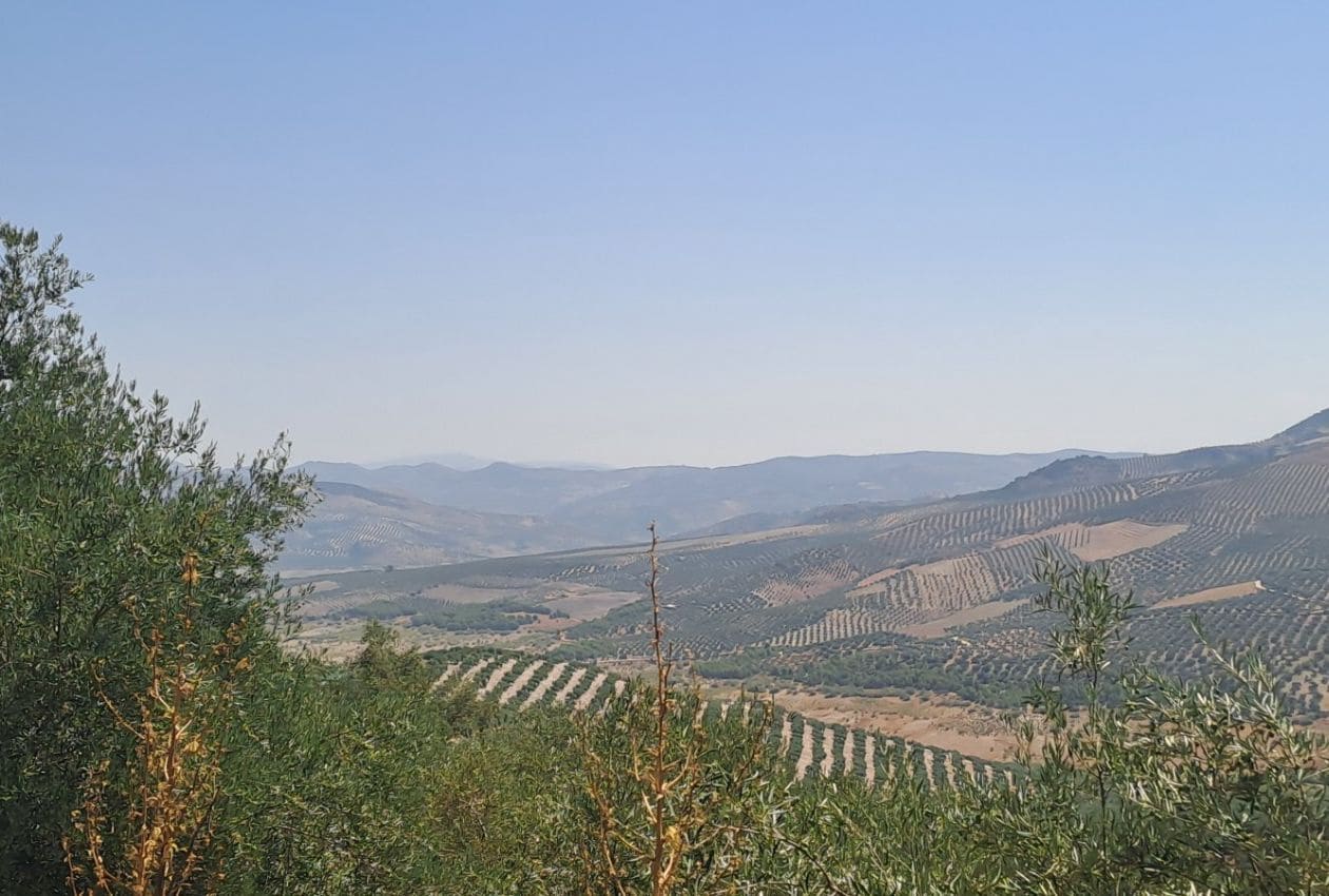 5 soveværelse Finca/Landehus til salg i Iznajar med swimmingpool - € 339.950 (Ref: 9191781)