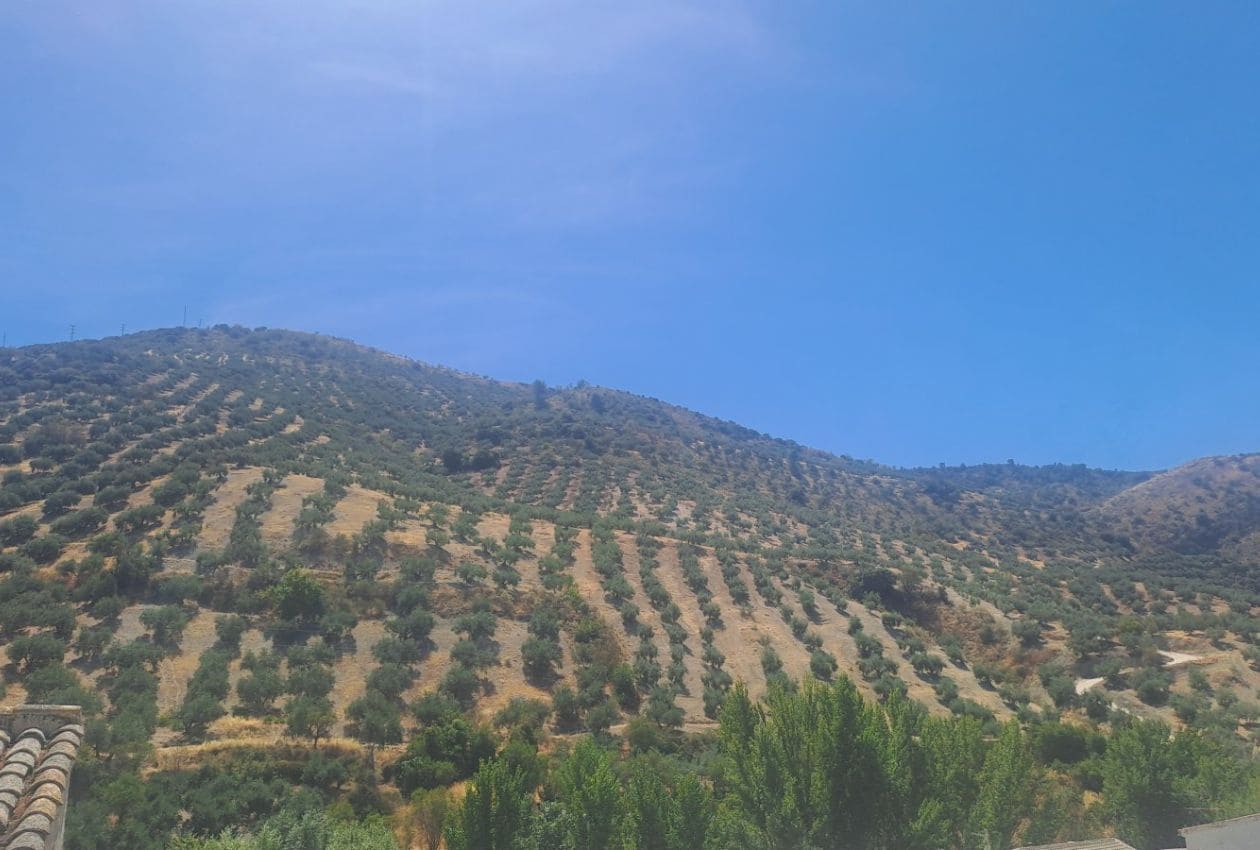 4 soverom Hus til salgs i Algarinejo - € 159 950 (Ref: 9203342)