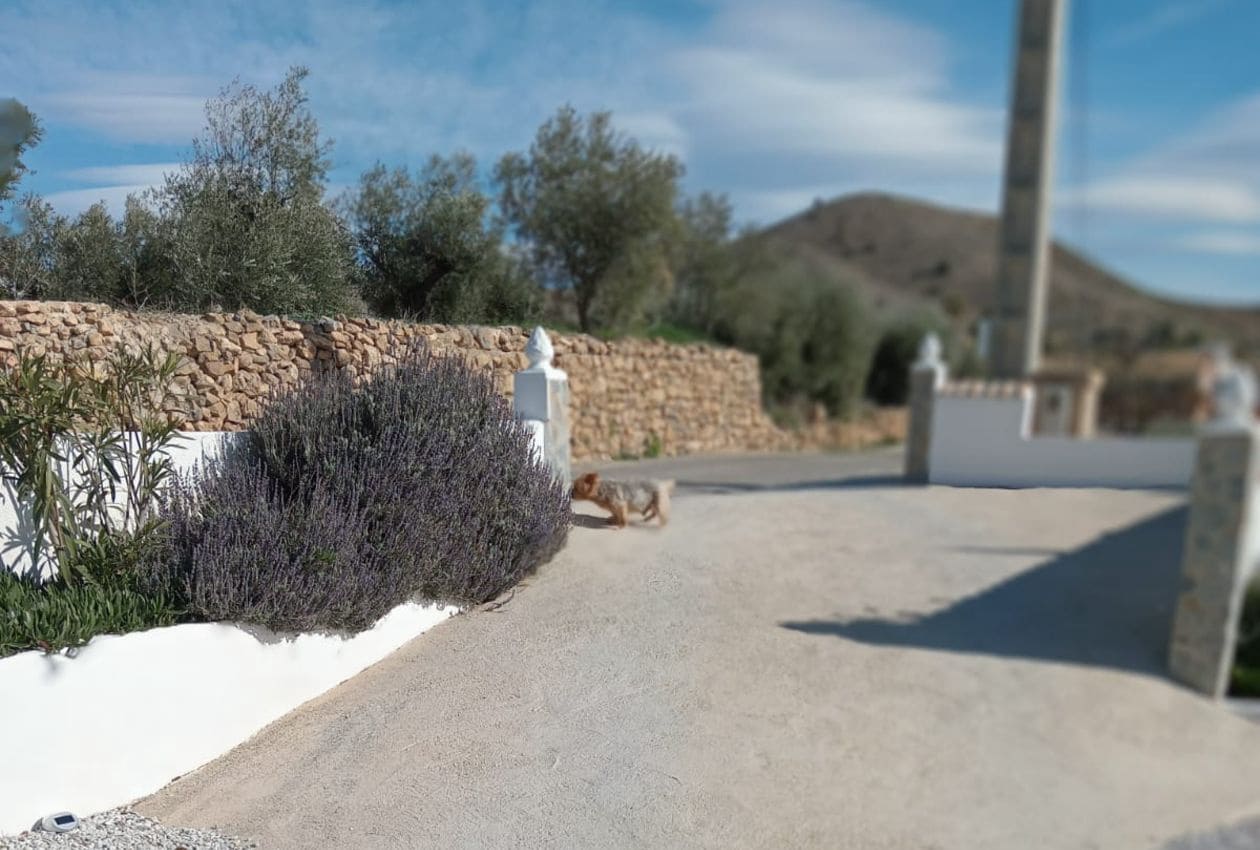 3 soveværelse Villa til salg i Oria - € 198.950 (Ref: 9207753)