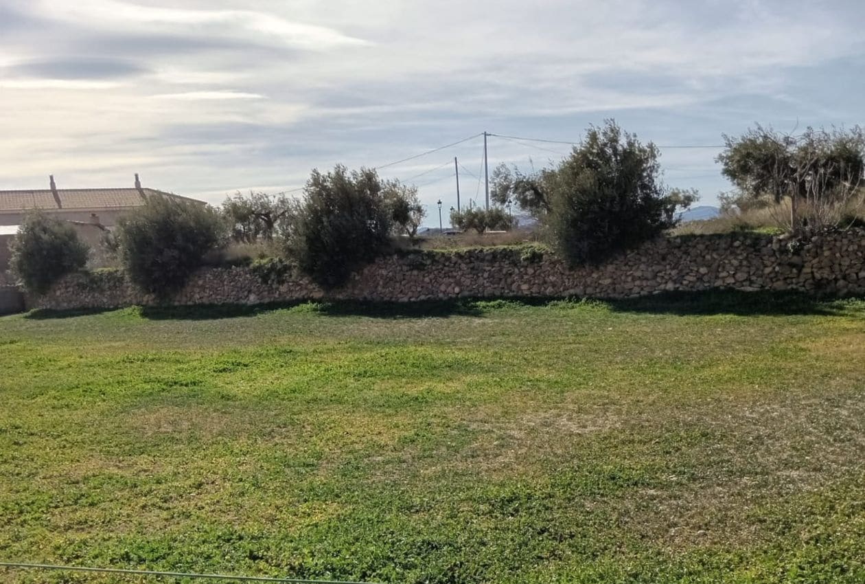 3 soveværelse Villa til salg i Oria - € 198.950 (Ref: 9207753)