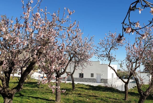 3 soveværelse Villa til salg i Oria - € 198.950 (Ref: 9207753)