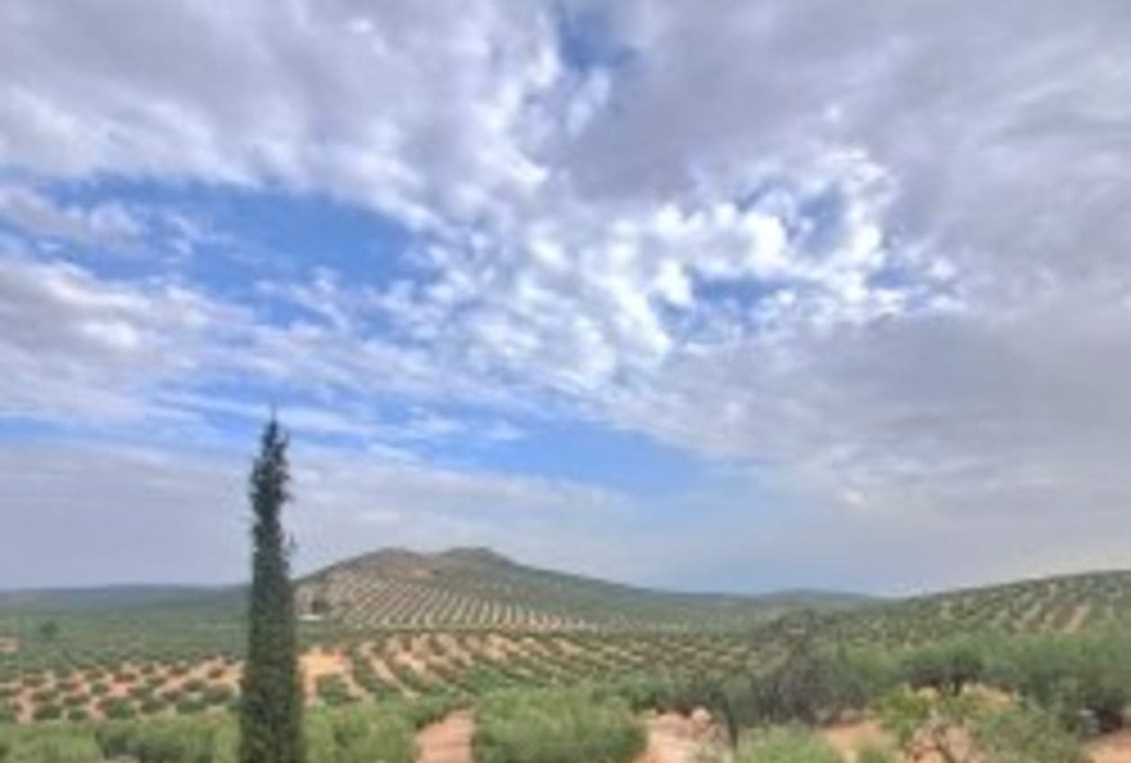 7 quarto Quinta/Casa Rural para venda em Bobadilla de Alcaudete com piscina - 495 000 € (Ref: 9216772)