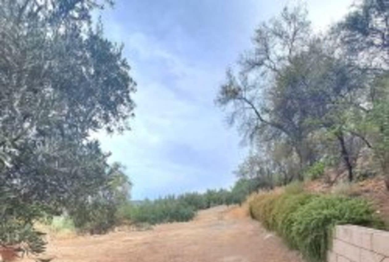 7 quarto Quinta/Casa Rural para venda em Bobadilla de Alcaudete com piscina - 495 000 € (Ref: 9216772)