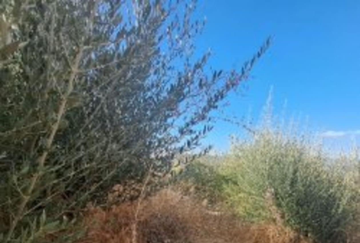 5 soverom Hus til salgs i Ventas del Carrizal - € 38 000 (Ref: 9344181)