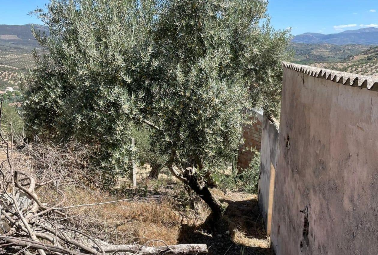 5 soverom Hus til salgs i Ventas del Carrizal - € 38 000 (Ref: 9344181)