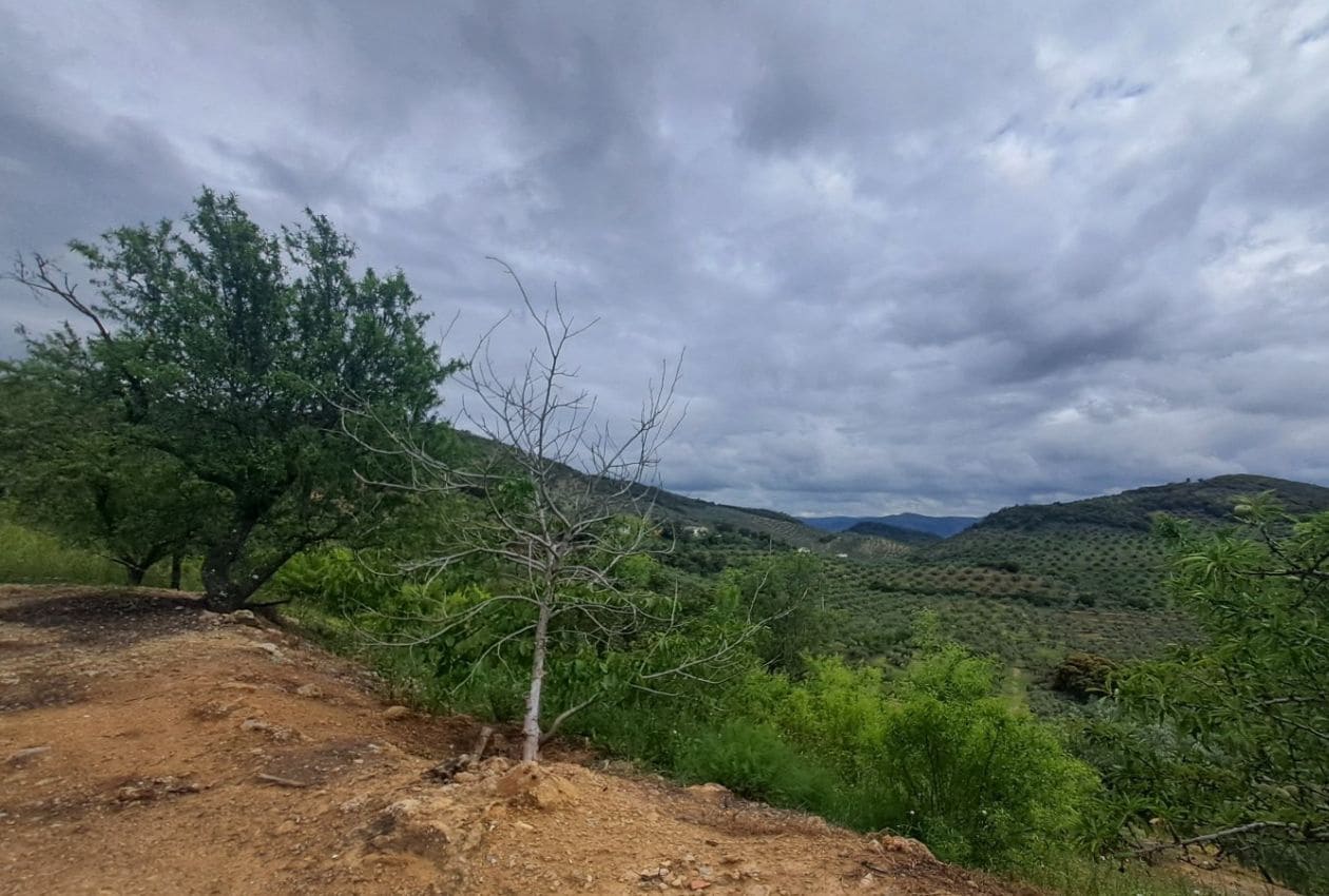 3 soverom Hus til salgs i Alcaudete - € 44 000 (Ref: 9380096)