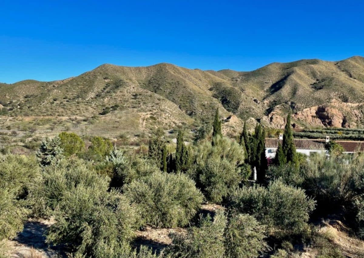 4 Zimmer Finca/Landgut zu verkaufen in Almanzora - 325.000 € (Ref: 9782357)