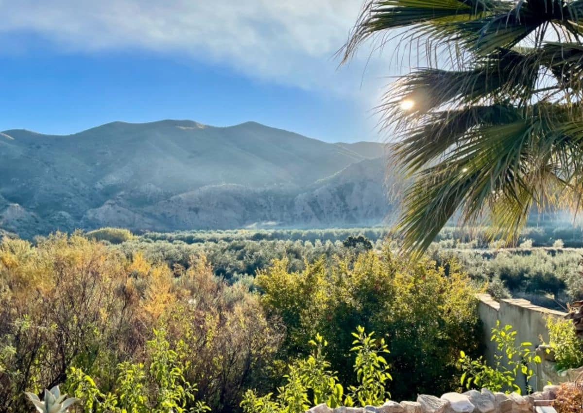 4 Zimmer Finca/Landgut zu verkaufen in Almanzora - 325.000 € (Ref: 9782357)