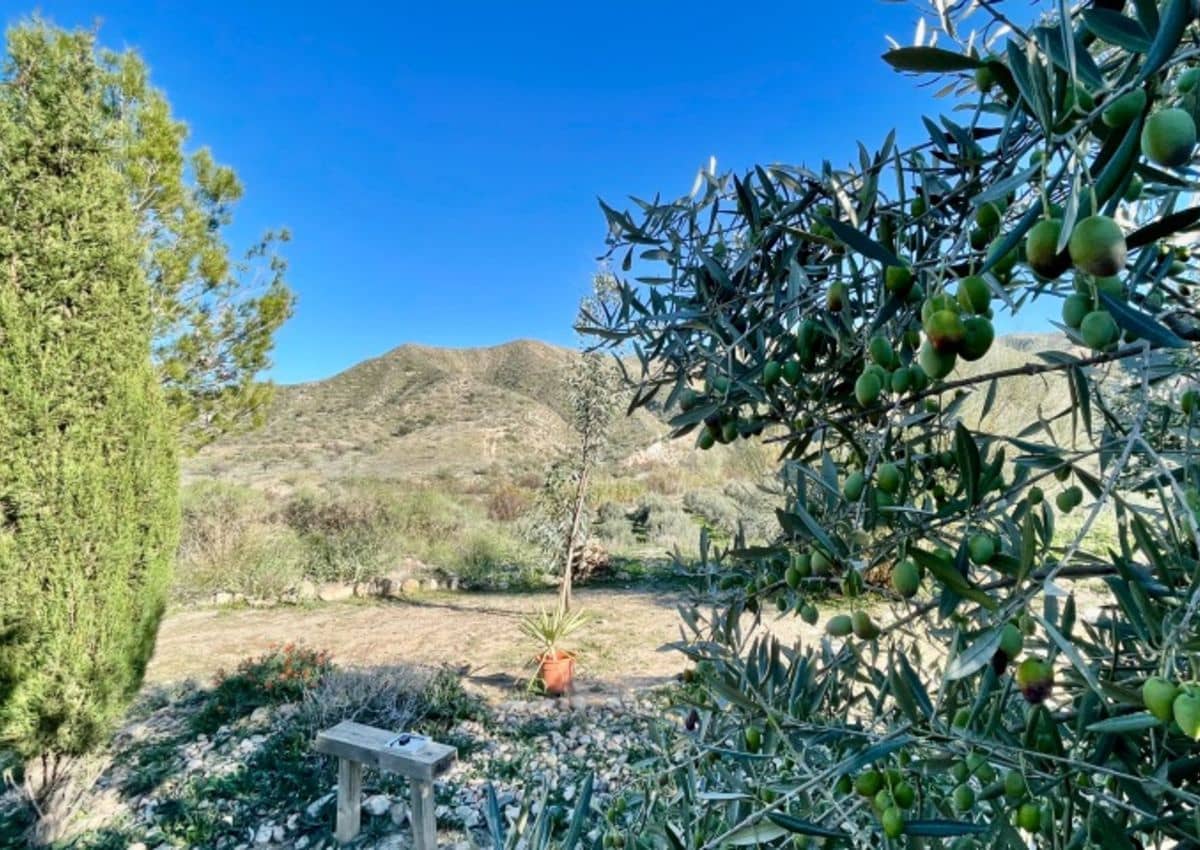 4 Zimmer Finca/Landgut zu verkaufen in Almanzora - 325.000 € (Ref: 9782357)