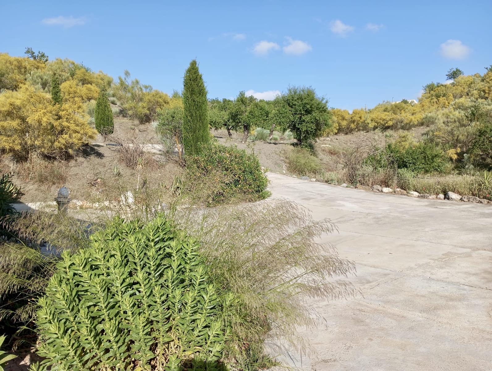 3 slaapkamer Villa te koop in Oria - € 185.000 (Ref: 9887878)